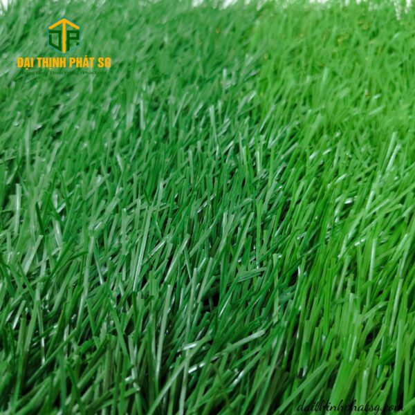 BElin 5005d008