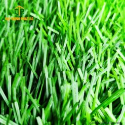 Stemgrass 5004B088 Bl đế zigzag