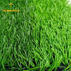 Stemgrass 5004B120-BL đế zigzag