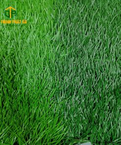 CỎ NHÂN TẠO SÂN BÓNG - BELLIN STEM 5013120