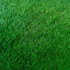 DTP38M19