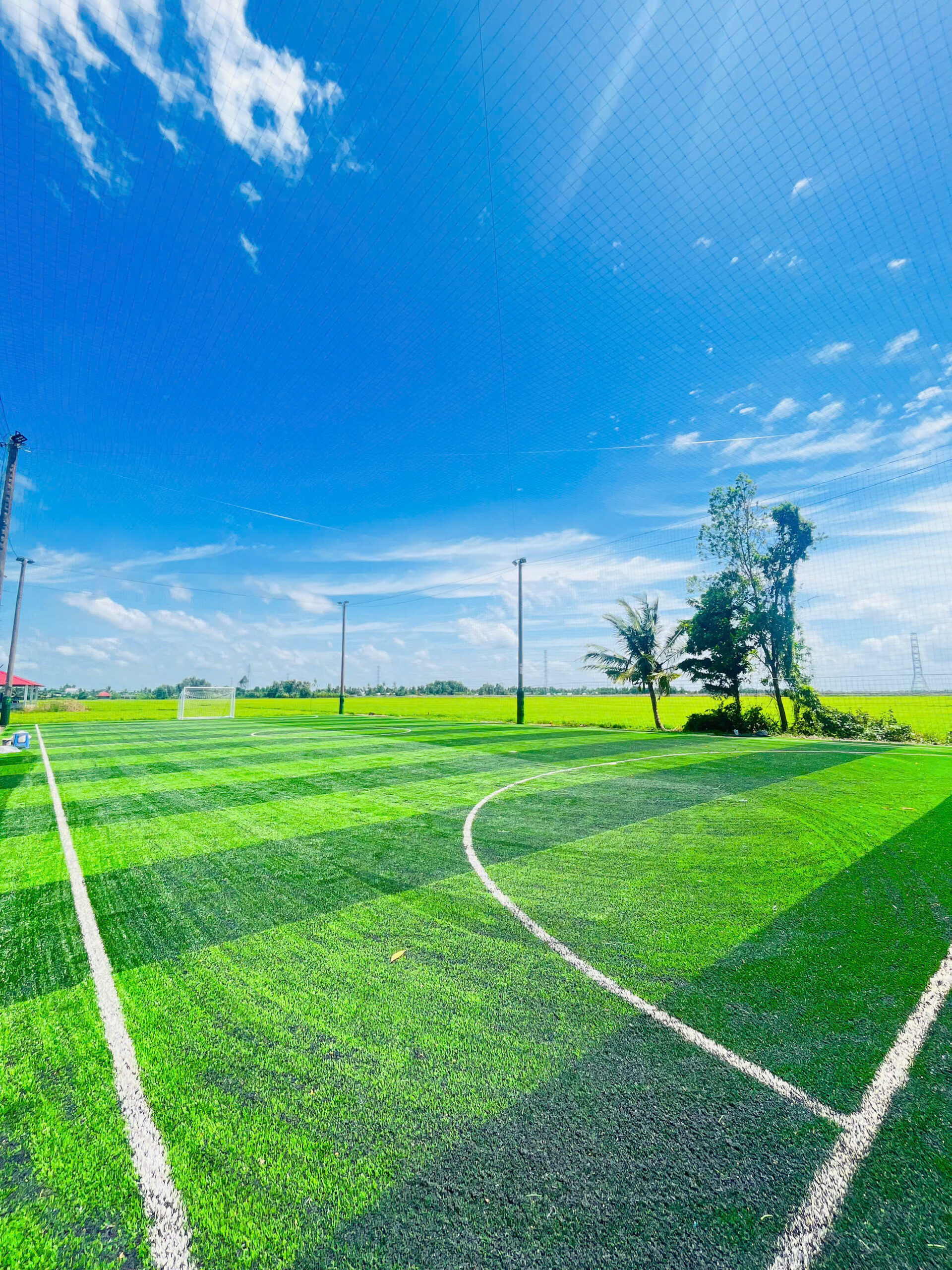 Kinh Nghiệm Thi Công Sân Bóng Cỏ Nhân Tạo – Bí Quyết Thành Công 2025