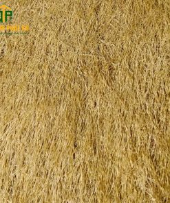 CỎ NHÂN TẠO SÂN VƯỜN - DTPROM