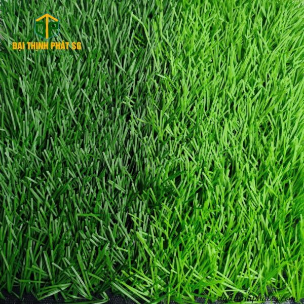 Stemgrass 5004B088 Bl đế zigzag - Hình ảnh 3
