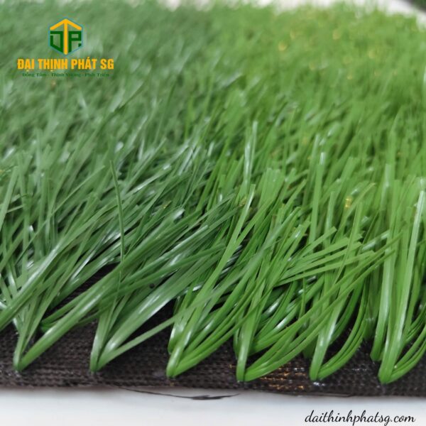 BElin 5005d008 - Hình ảnh 3