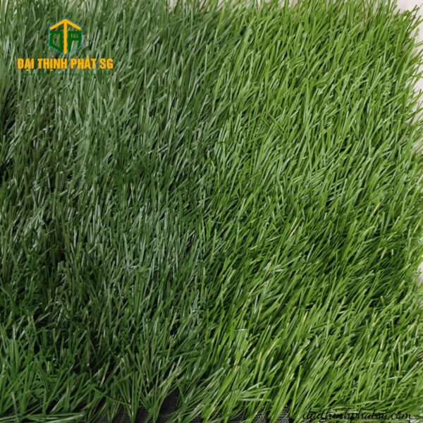BElin 5005d008 - Hình ảnh 4