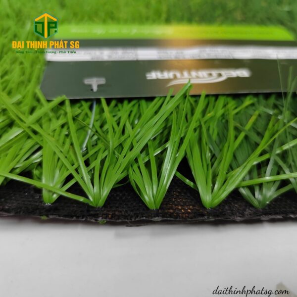 Belin 5005d012 - Hình ảnh 4