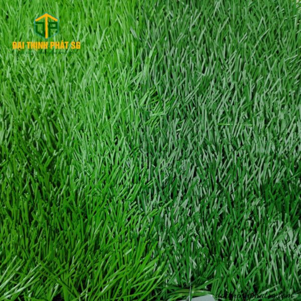 Belin 5005d012