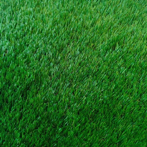 DTP38M19